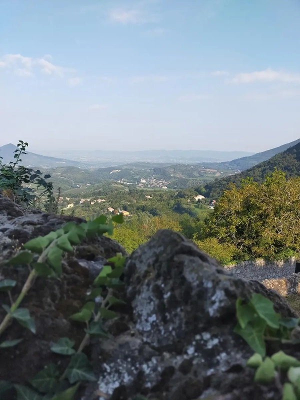 Il Parco Regionale dei Colli Euganei